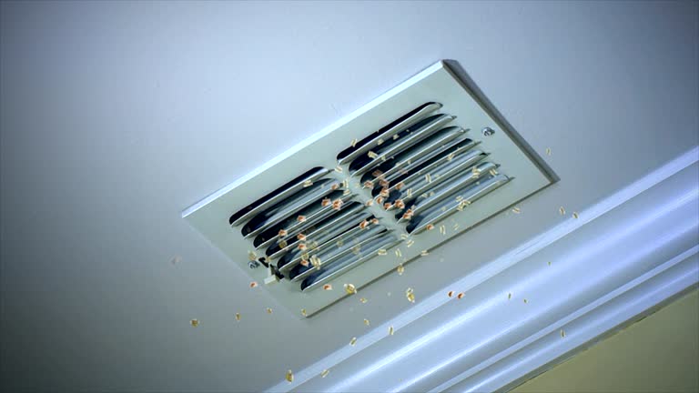Best Air Duct Mold Removal  in Luck, WI